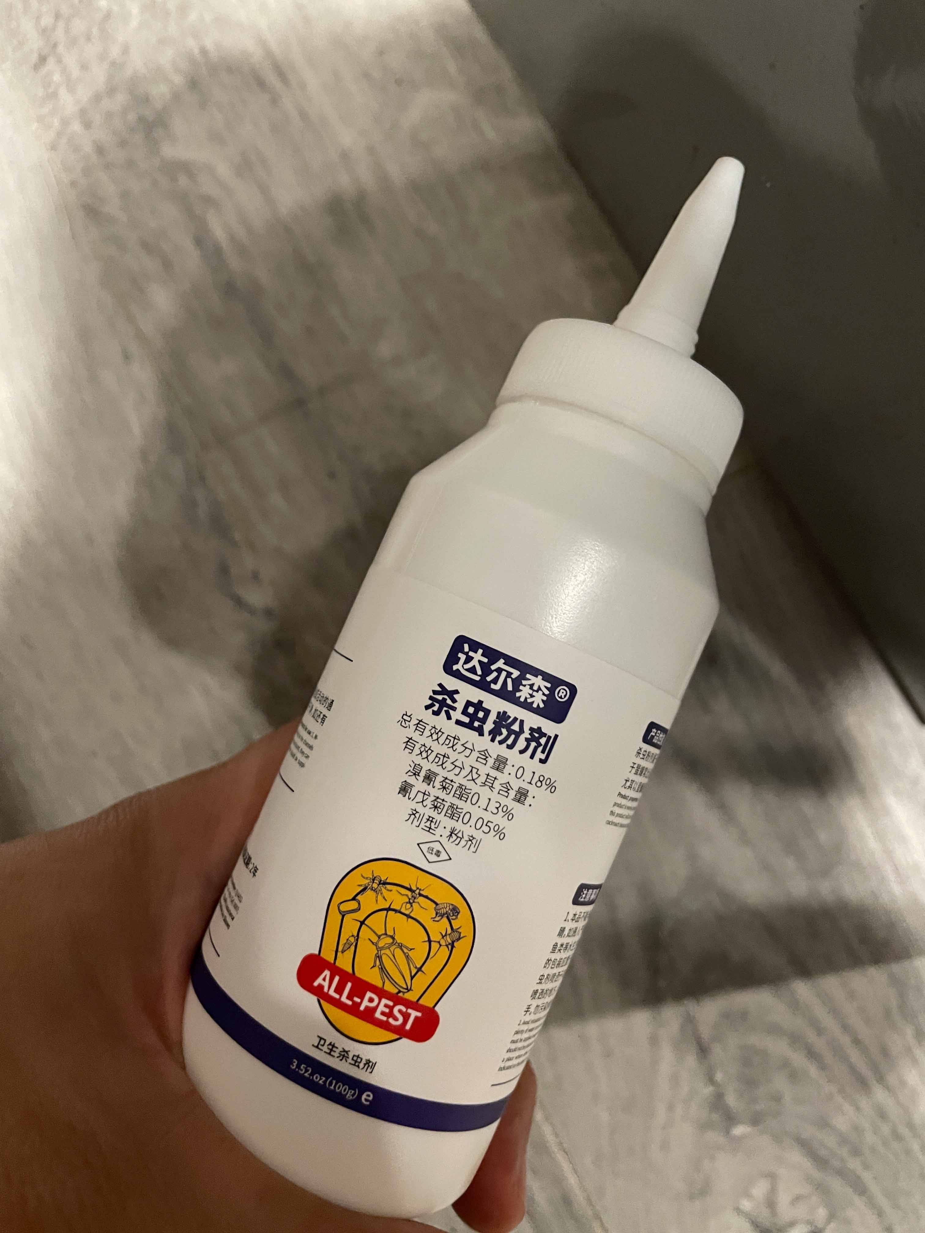 小蚂蚁怎么能彻底消灭？室内杀蚁小技巧大揭秘！