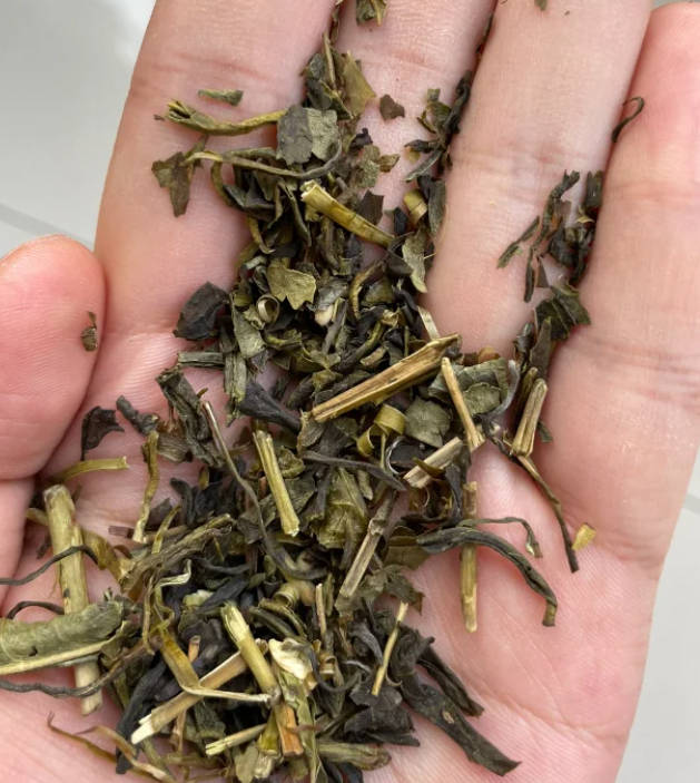 小黄蚂蚁彻底清除的方法？无蚁家居的秘密武器