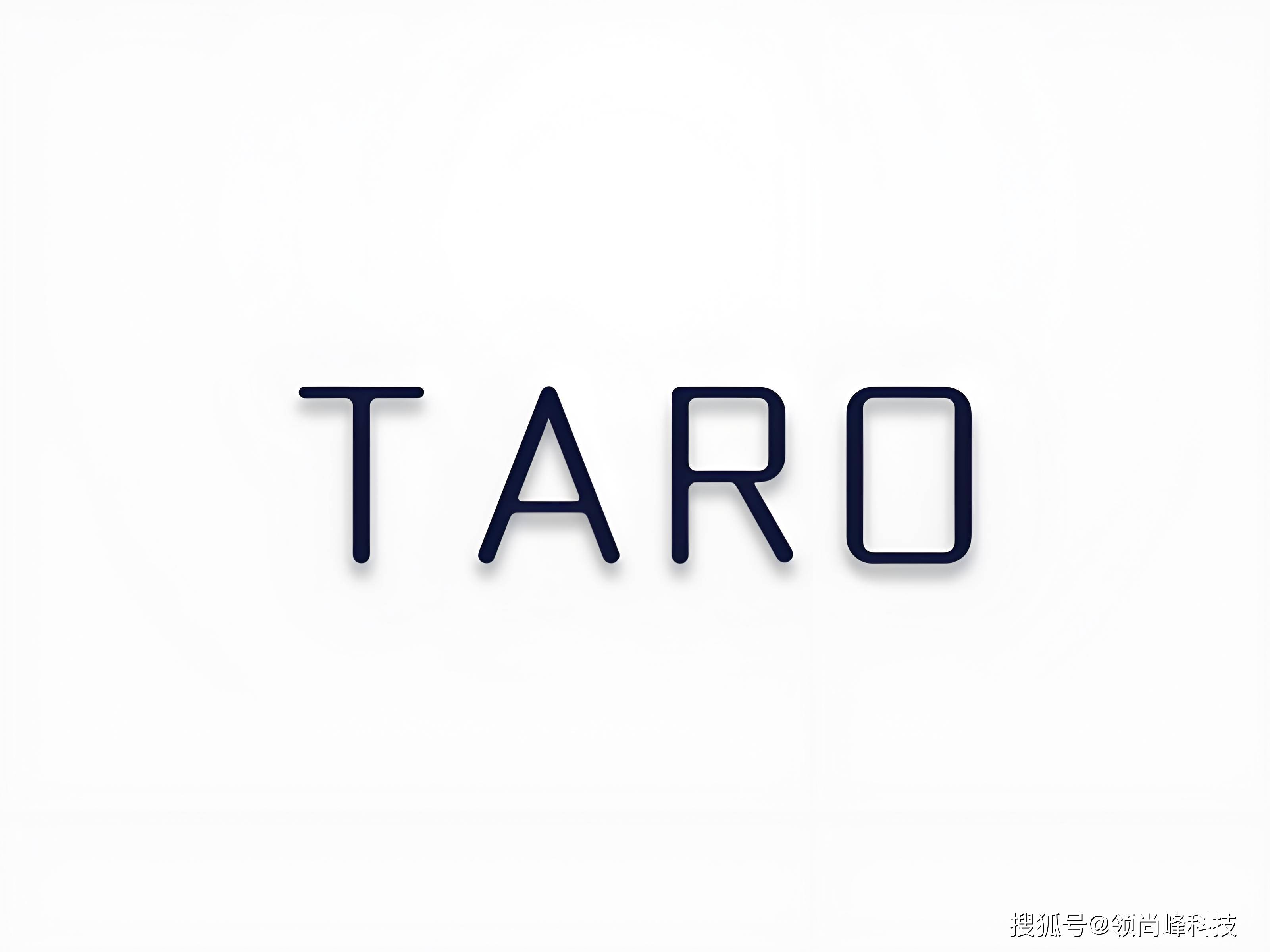 开发组：语言的艺术