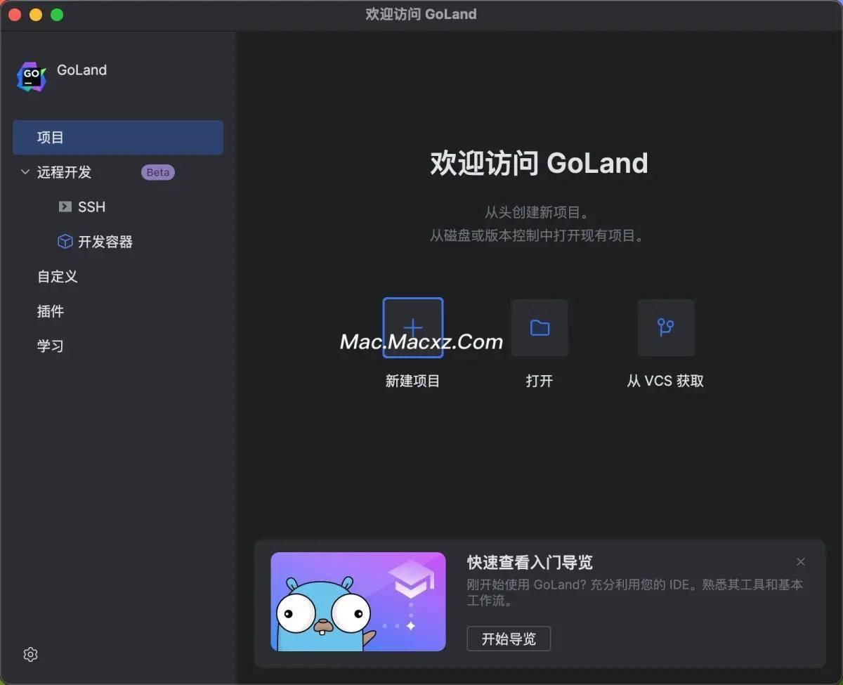 GO语言集成开发工具环境