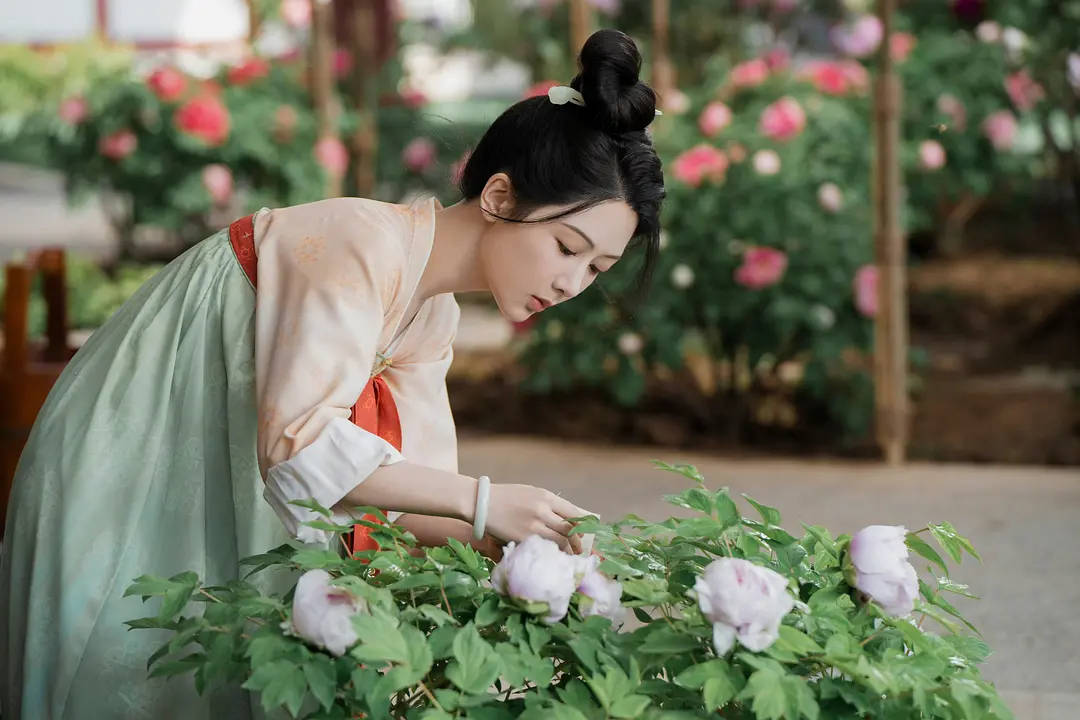 杨紫《国色芳华》热播、田曦薇《子夜归》待播，古偶为什么越来越青睐唐朝？