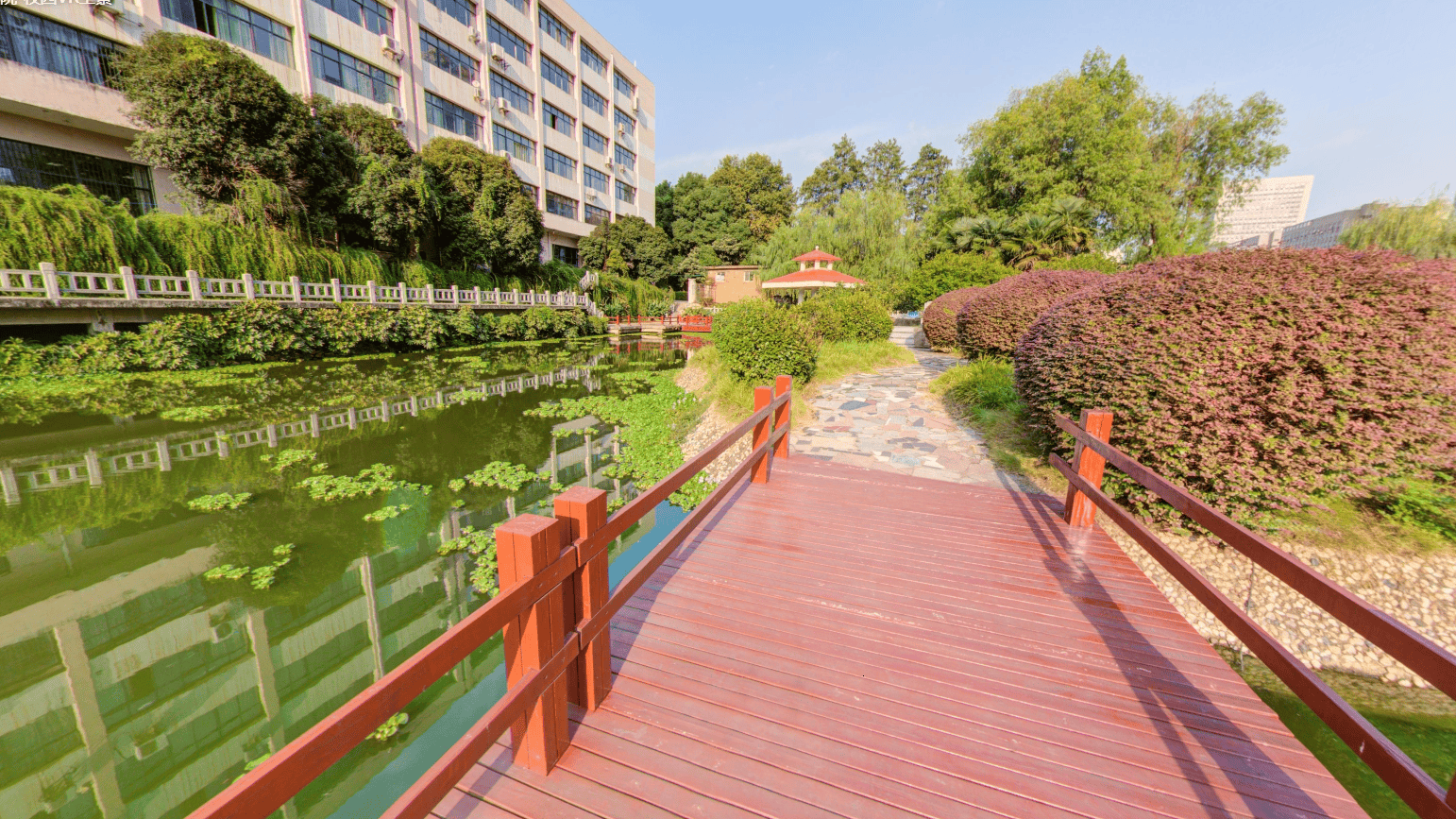 通化成考专升本报考要求分析