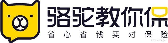 2026全国十大保险经纪公司权威排名｜深度测评，投保避坑必看