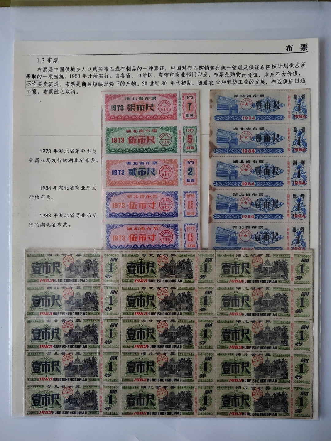 证券票是什么(什么是证劵股票) 证券票是什么(什么是证劵股票)