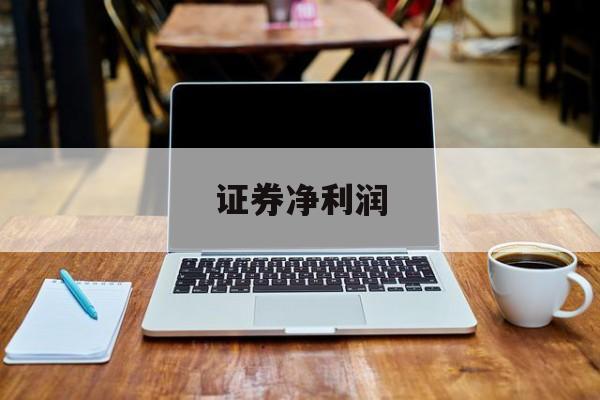 证券净利润(证券公司净利率) 证券净利润(证券公司净利率)